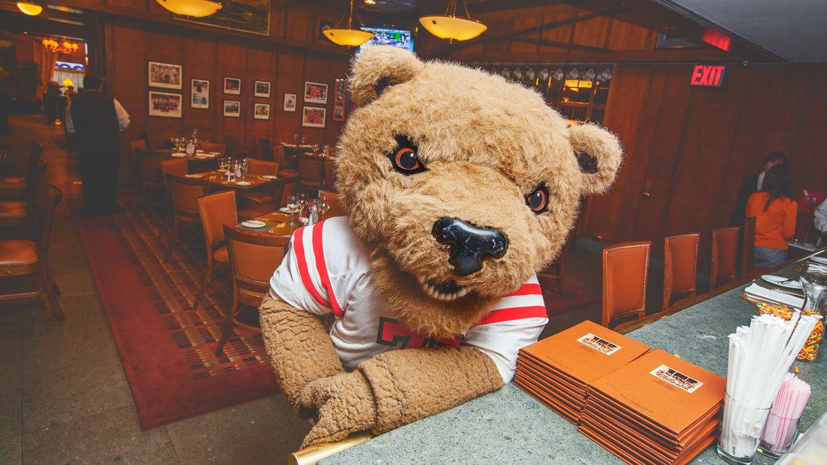 Brown Bears at Cornell Big Red Mens Hockey at Lynah Rink
