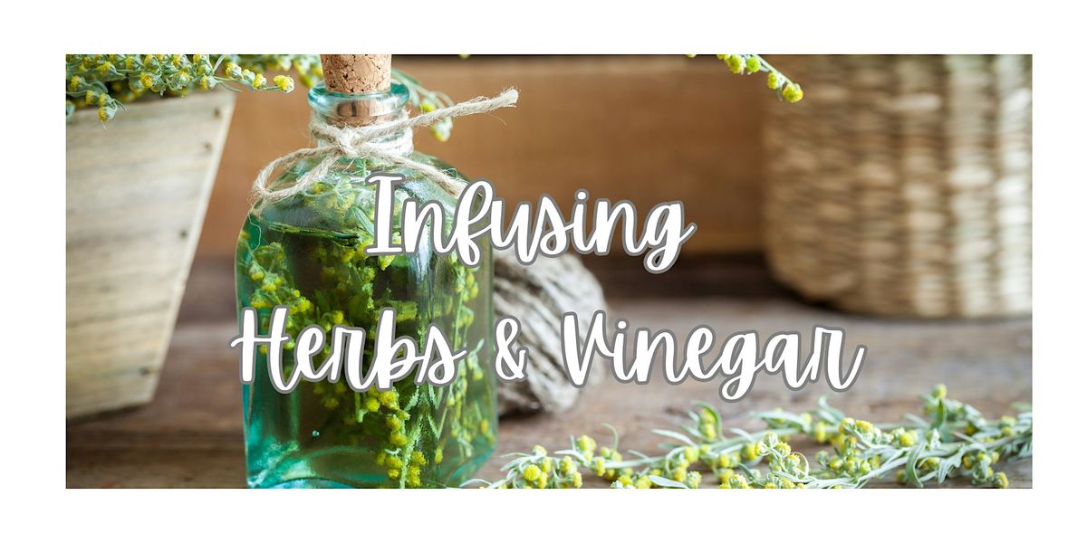 LEARN HOW TO INFUSE HERBS & VINEGAR