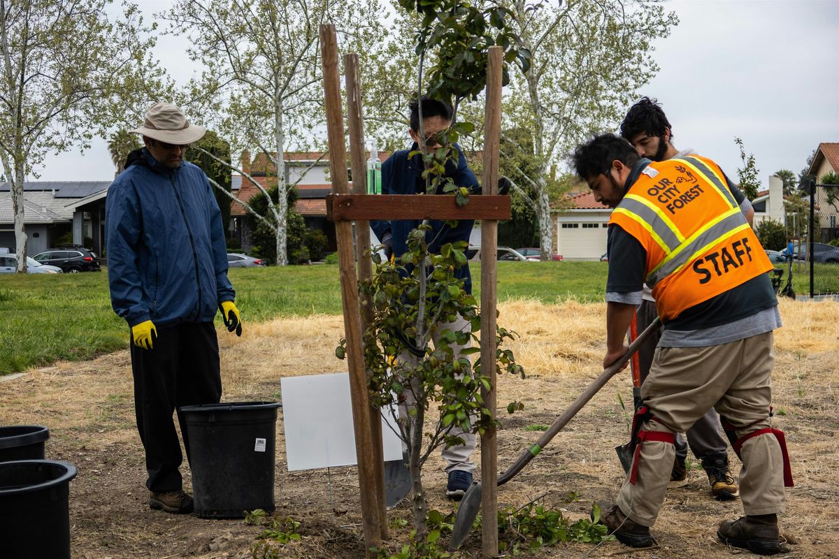 Welch Park Community Planting with Our City Forest