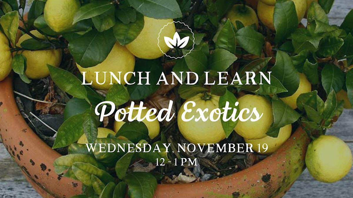 Lunch & Learn: Potted Exotics