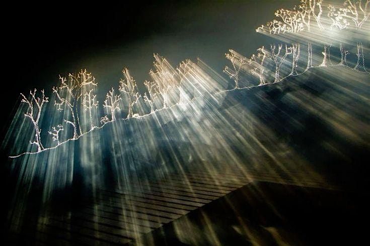 Climate Change Theatre Action