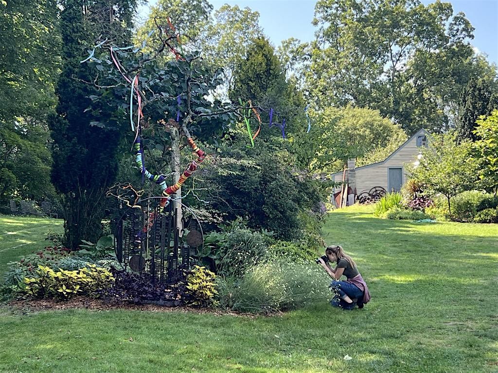 Monthly Meet Up: Photography in the Gardens