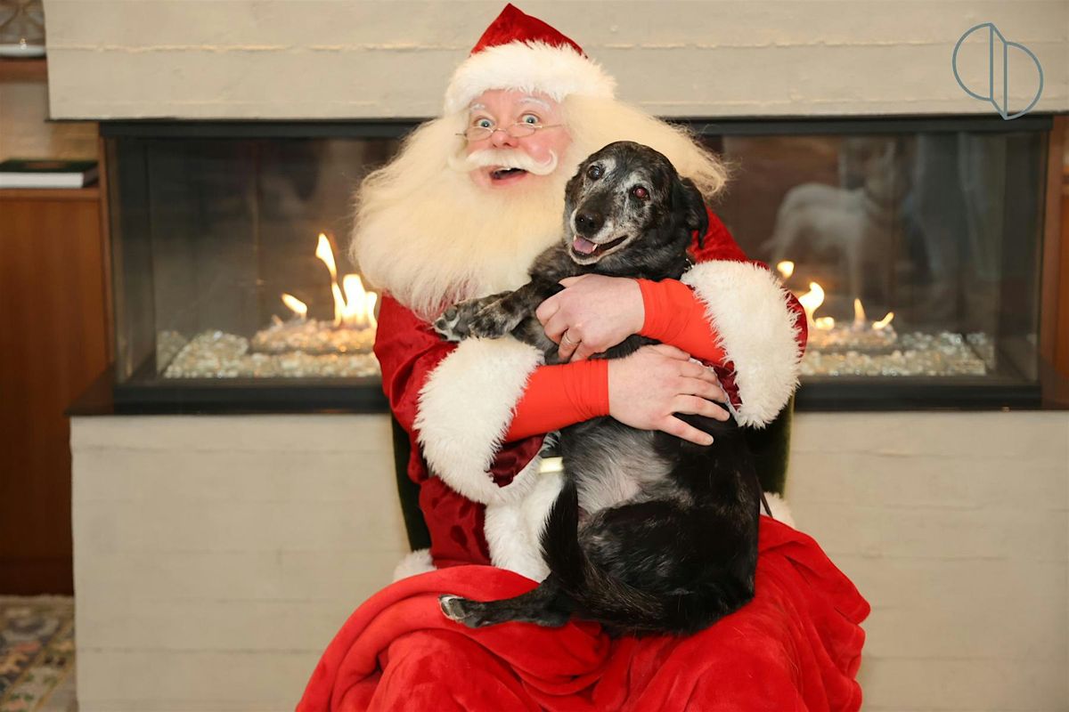 Picture Your Pet with Santa at The Colonnade Hotel