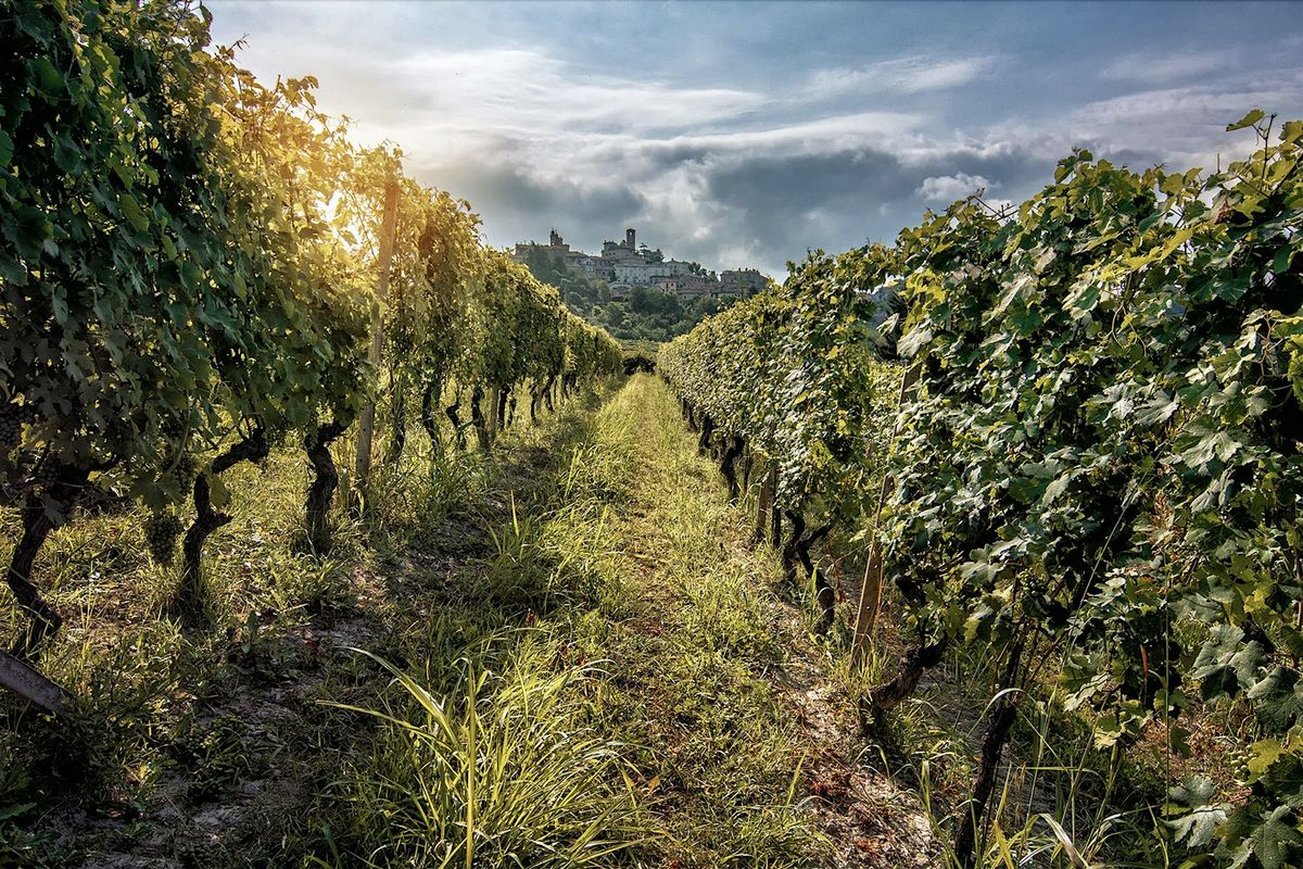 La Spinetta Tasting + Seminar