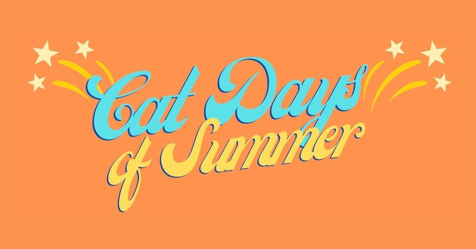 Cat Days of Summer | One-Eyed Cat Brewing, Williamsville, NY | August ...