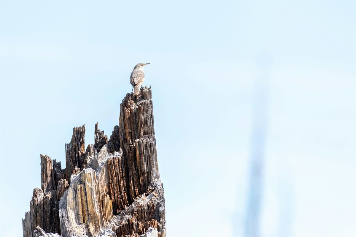 Wildlife Photography Workshop