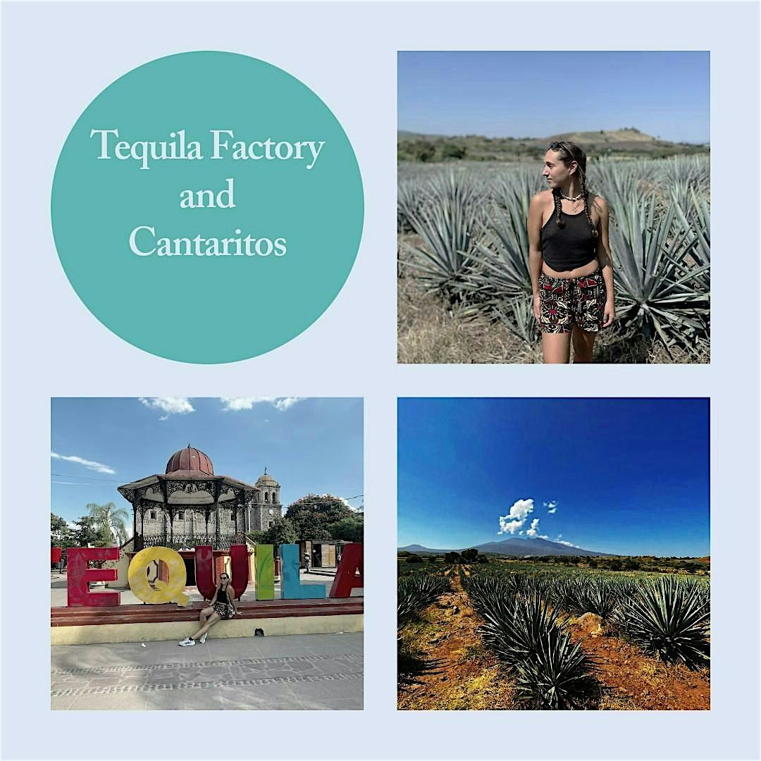 Jose Cuervo Factory and Cantaritos El G\u00fcero Tour