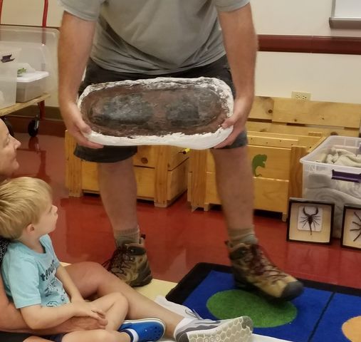 Dinosaur Discoveries - Gardner School Schaumburg