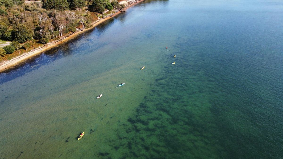 Brownsea Bliss