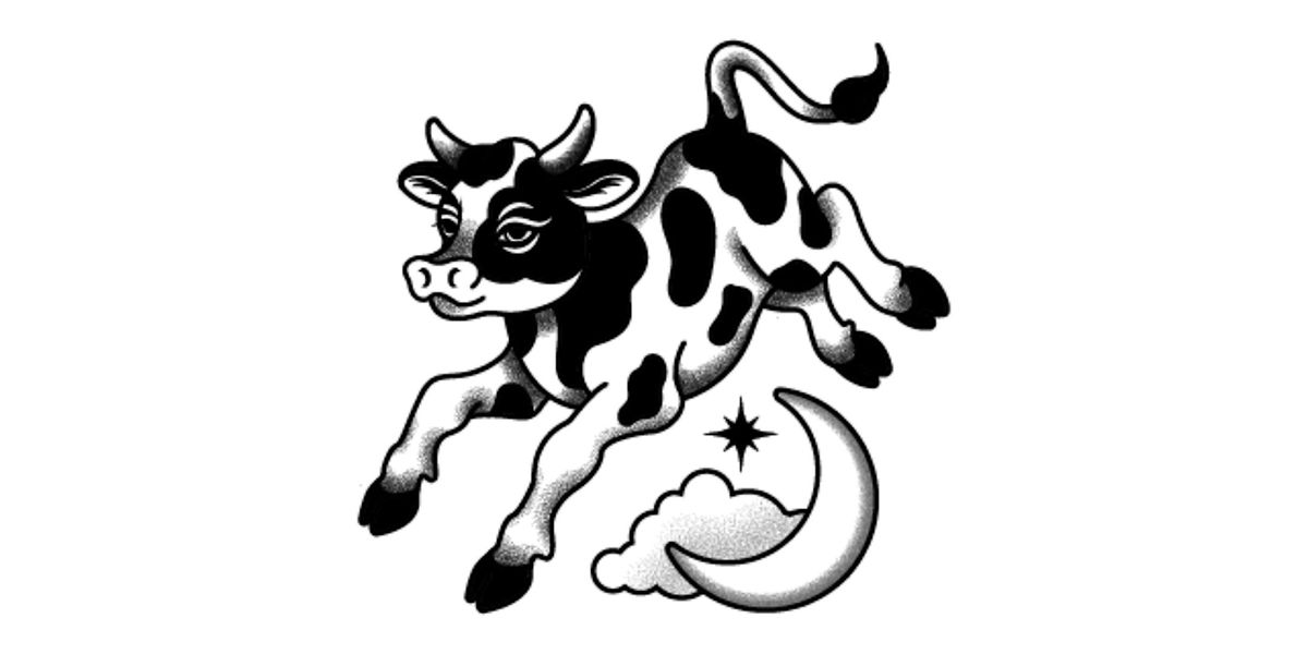 Little Cow Concerts Presents: Cotton & Stone, Scotty Hills, and Ayla Bryn