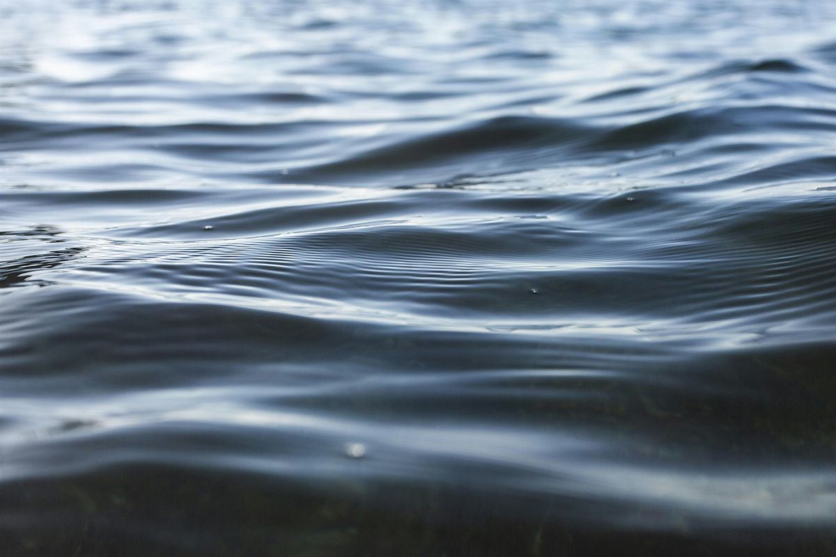 Poems in Performance - a performance workshop