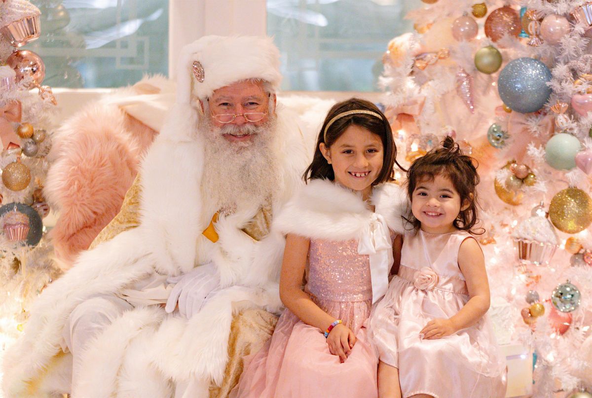 November 29: Whimsical Holiday Mini Sessions  WITH SANTA - Pets or Kids!