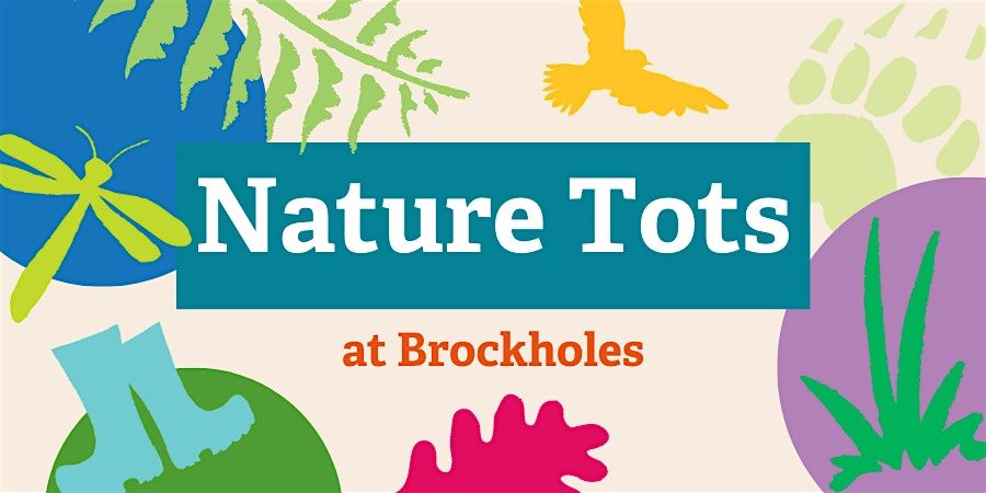 Nature Tots at Brockholes