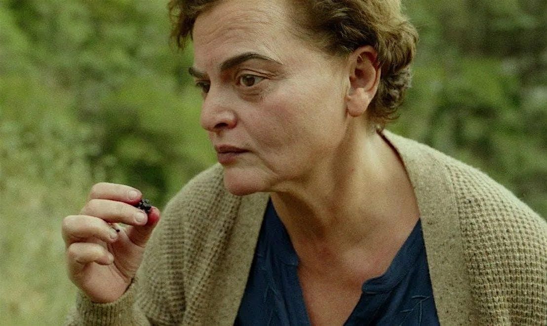 Day School: Between Two Worlds: Blackbird Blackbird Blackberry