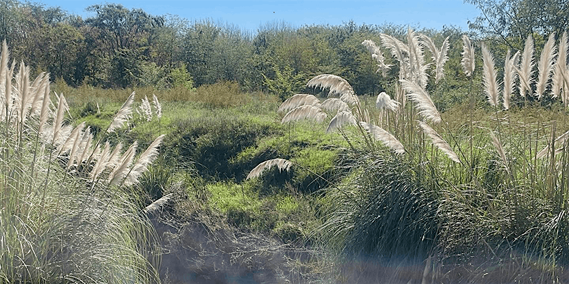 Ciclo Finestres: Otros mundos posibles