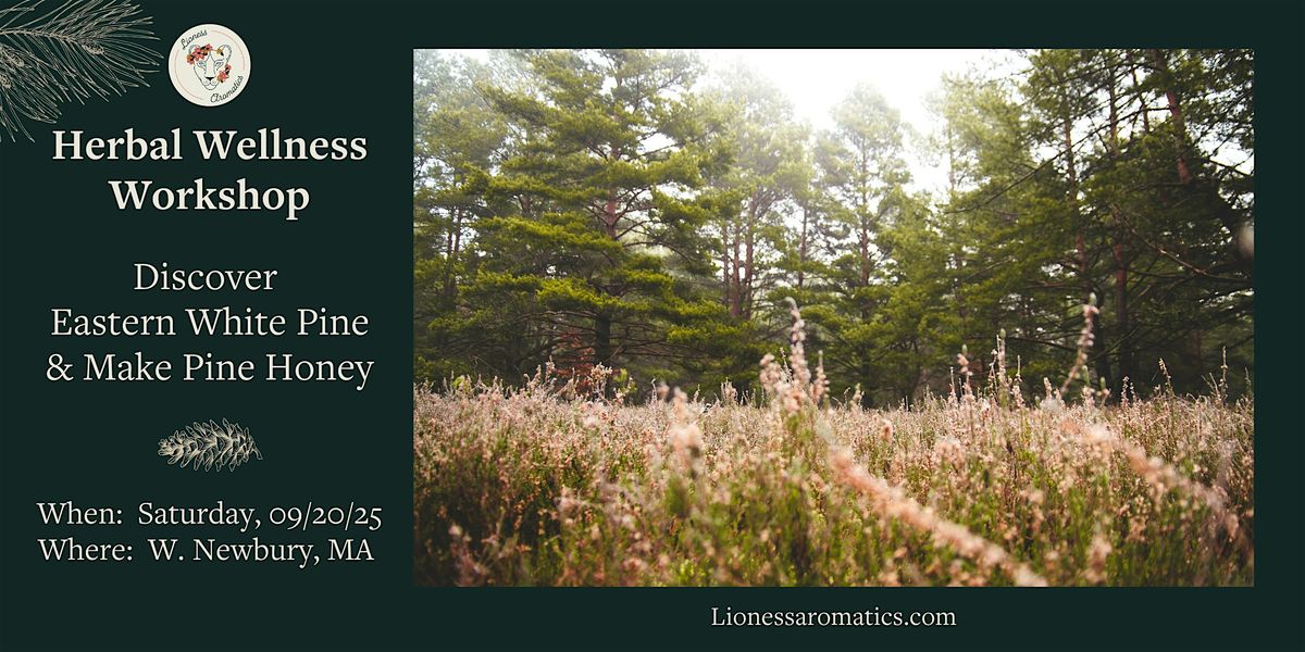 Herbal Wellness Workshop: Discover Eastern White Pine + Make Pine Honey