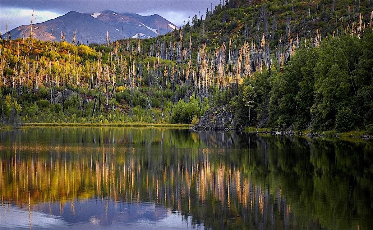 Intermediate Photography 201