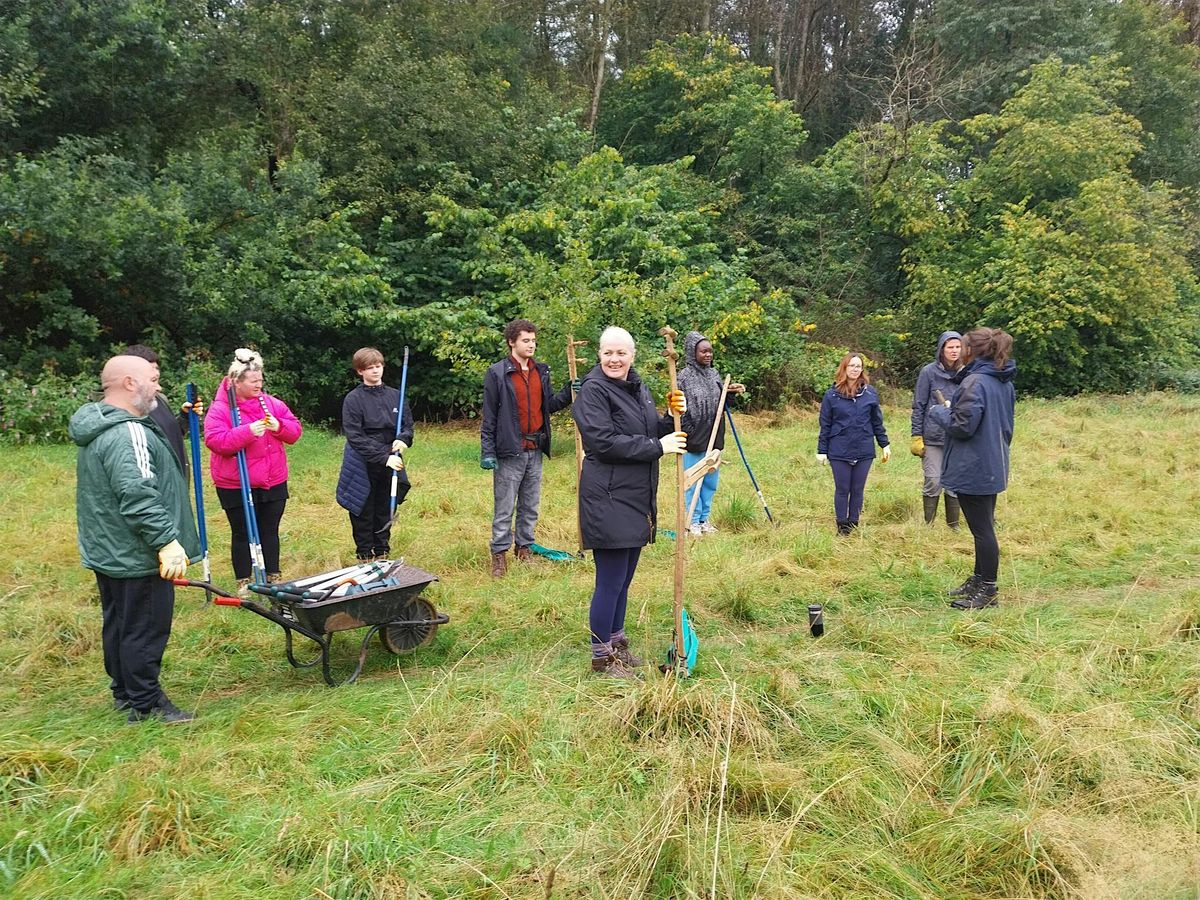 Help us enhance Clayton Vale