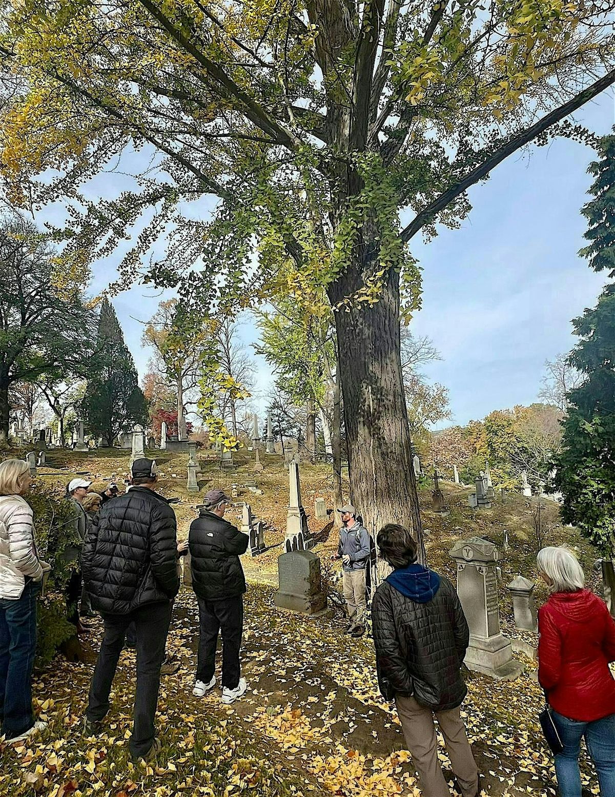 Significant Tree Walk with Historical Ecologist Michael Gaige