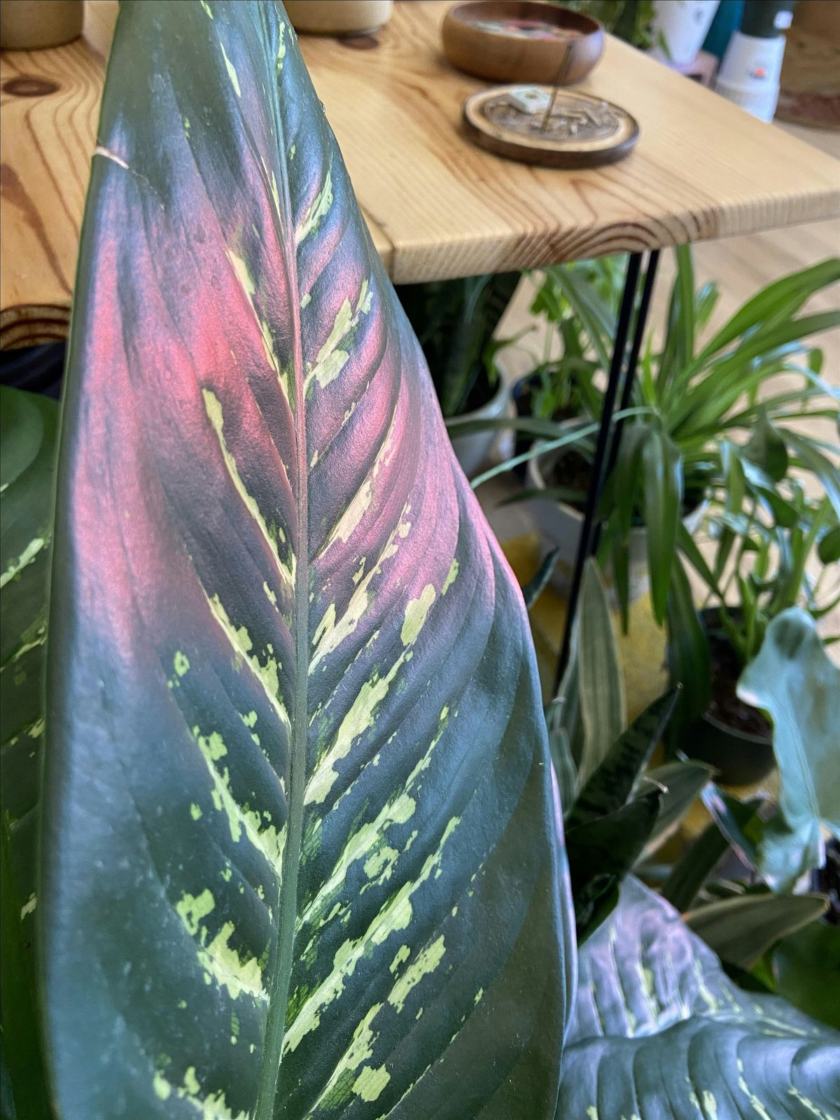 Paint, Pot, and Sip Night!