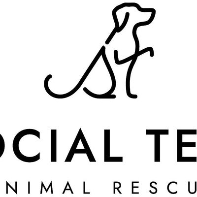 Social Tees Animal Rescue