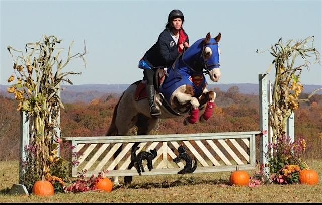 Frost On The Pumpkin Hunter Pace