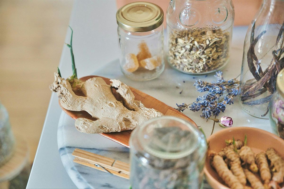 Free Seminar: Introduction to Herbal Healing