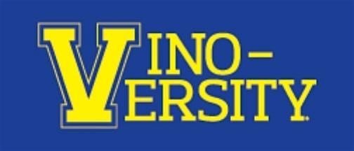 BUBBLES CLASS! Learn about Champagne & other sparklers!