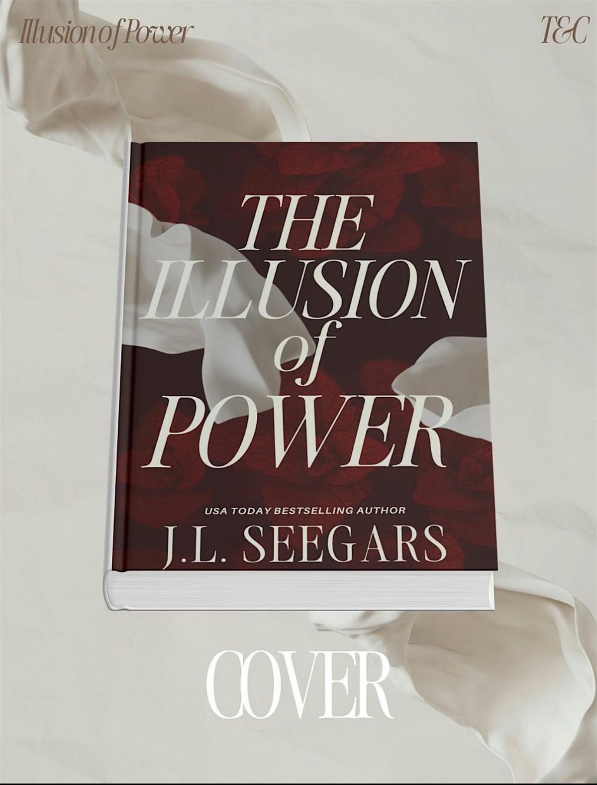 Book Club Picnic - The Illusion of Power by J.L. Seegars