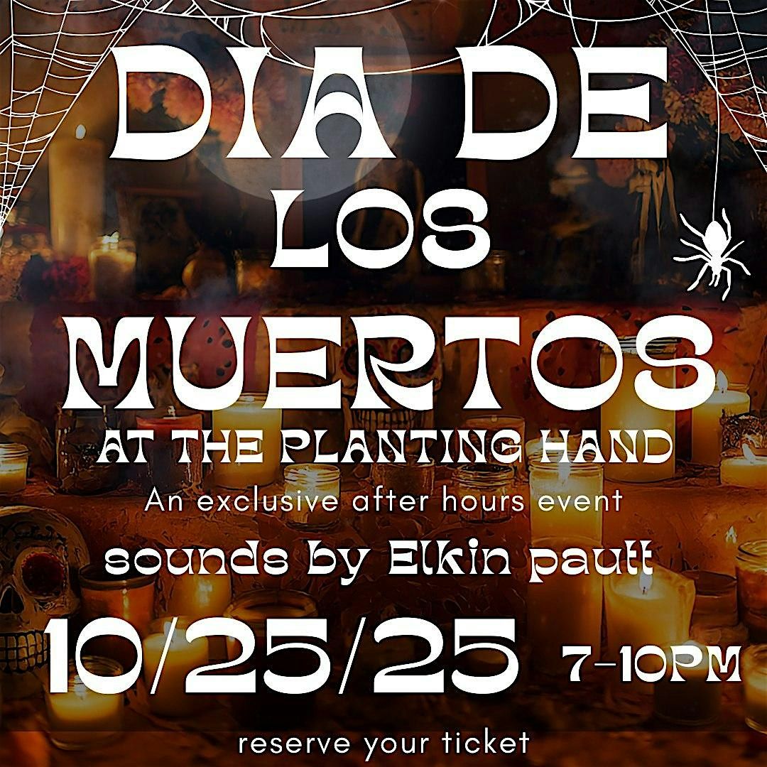 D\u00eda de Los Muertos Celebraci\u00f3n