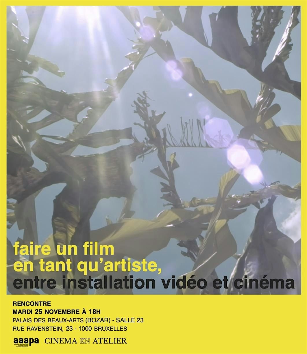 Entre installation vid\u00e9o et cin\u00e9ma - faire un film en tant qu'artiste