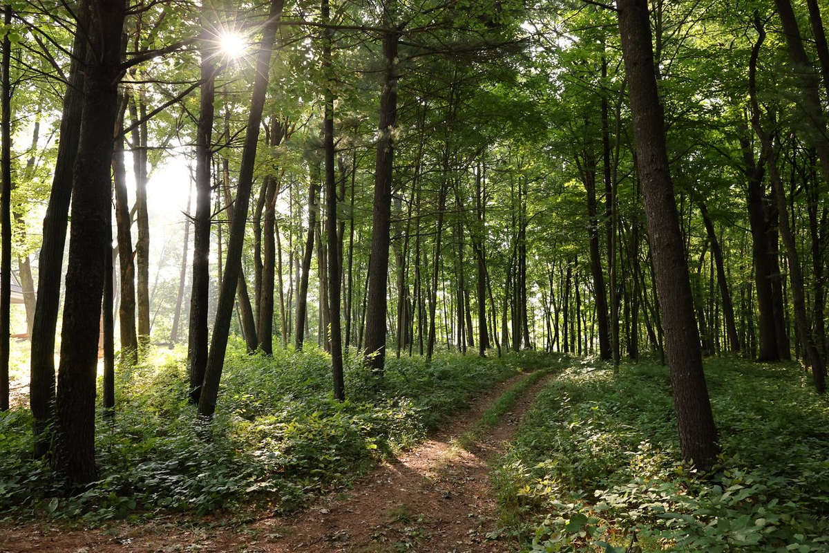 Financial Self-Reliance Course