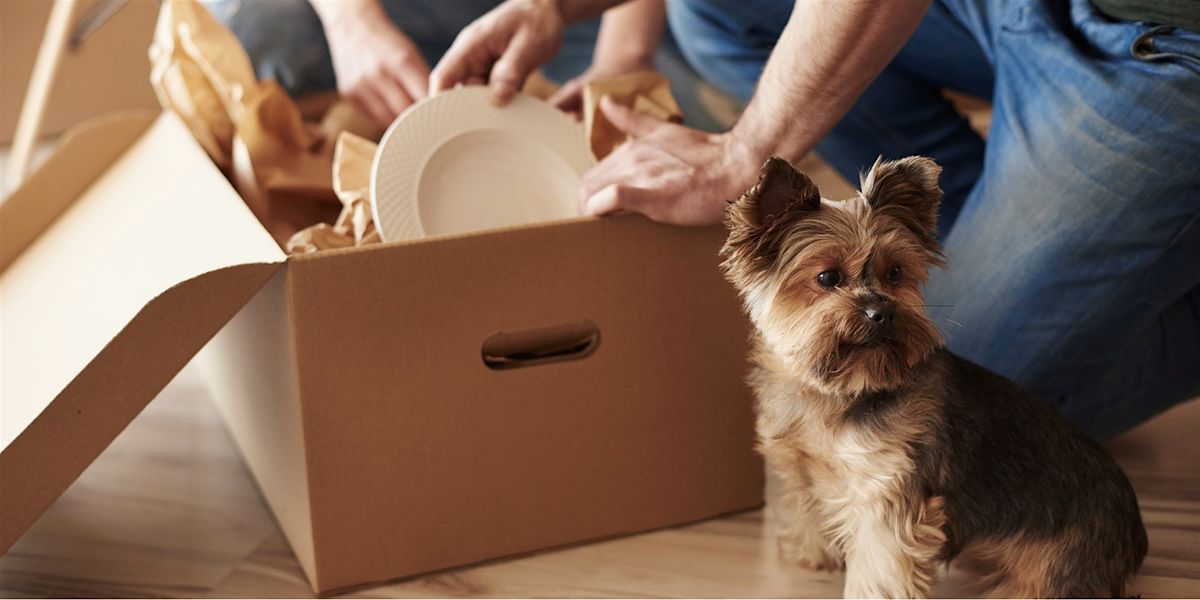 Recently Moved to the Rivertowns Meetup