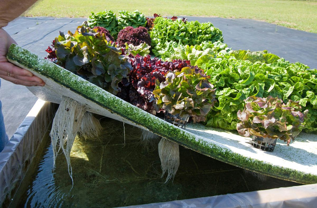 10-20-2025 Hydroponics - Jar to Table: A Beginners Guide to Hydroponics