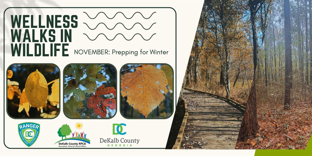 Wellness Walks in Wildlife - MOT