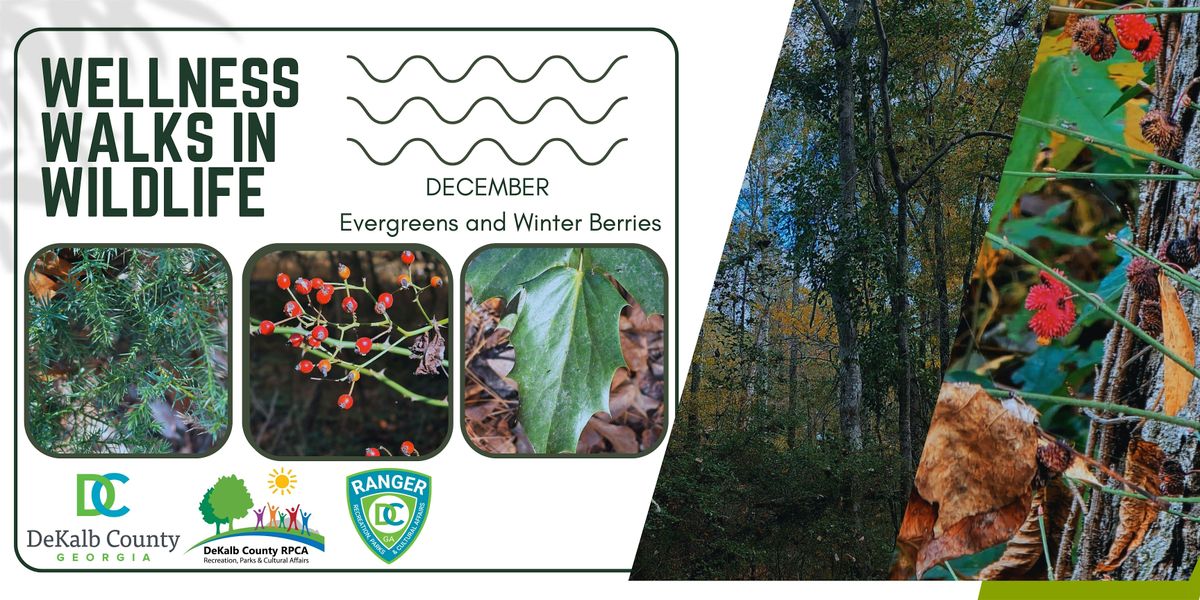 Wellness Walks in Wildlife - MOT