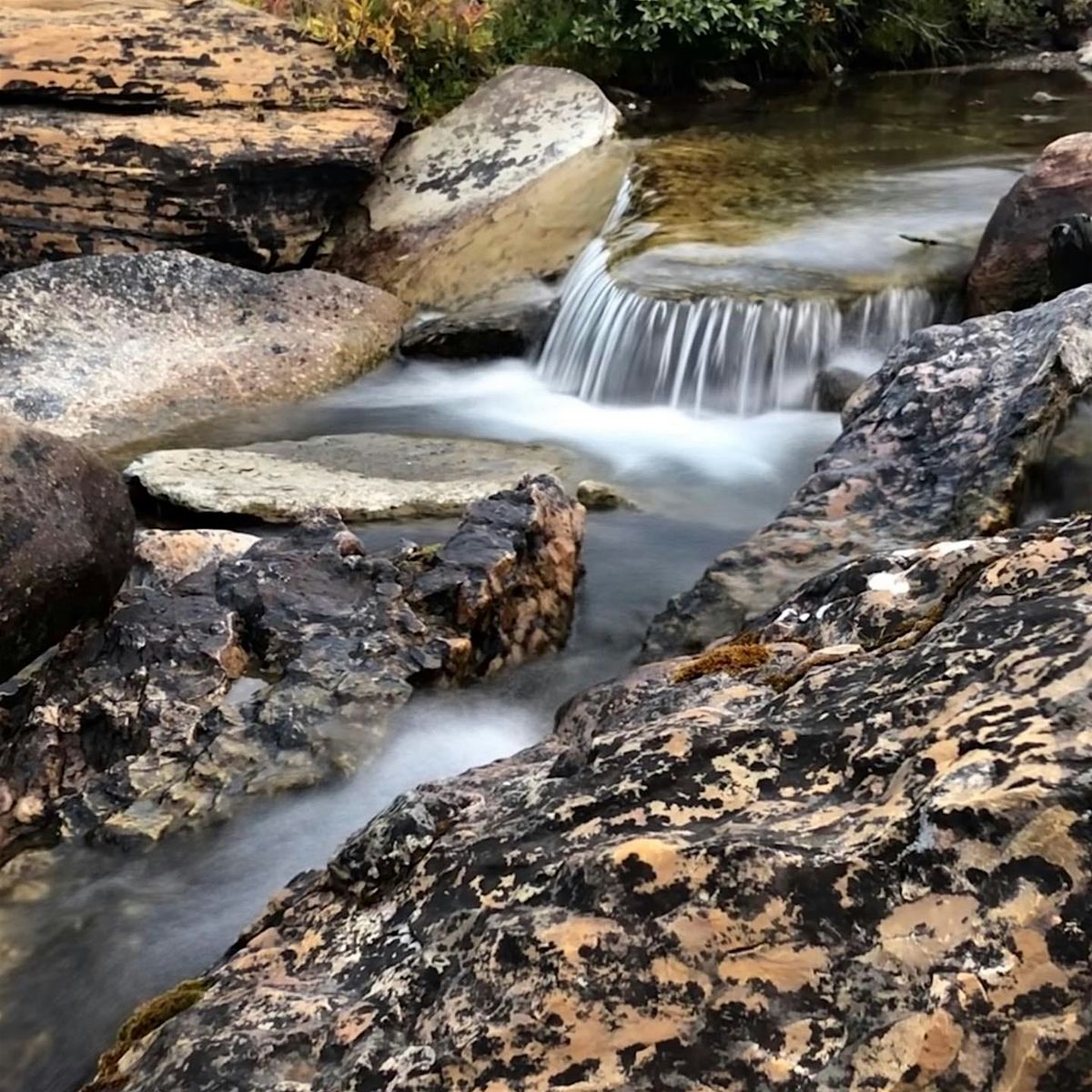 Contemplative Solidarity