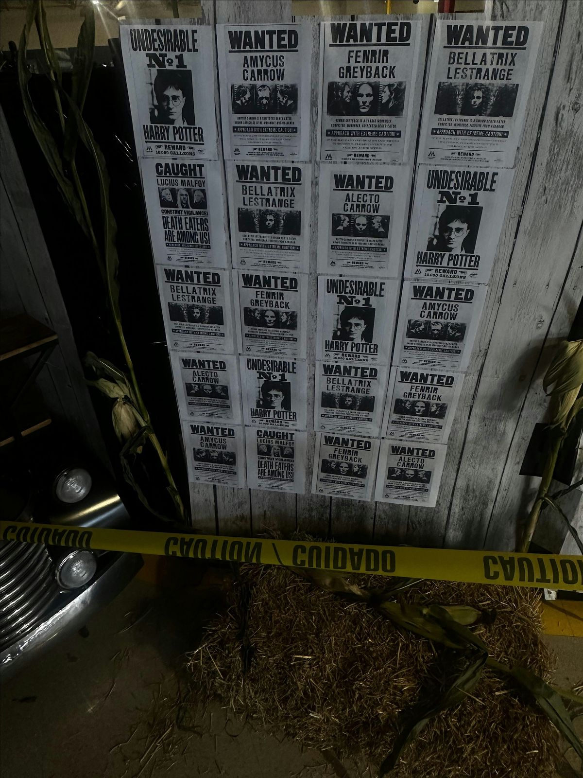 The Animated Abyss Haunted House