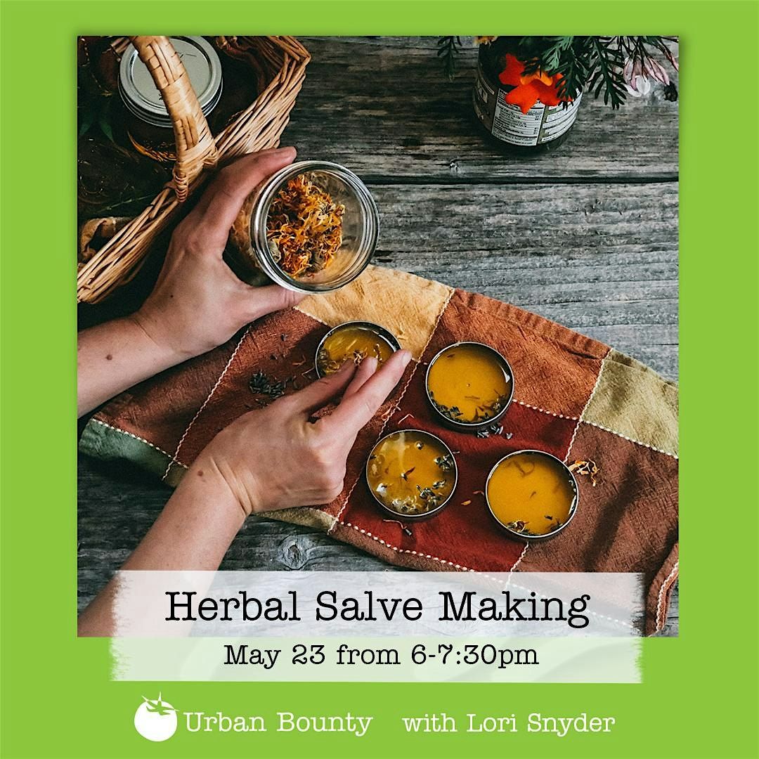 Garden Remedies Series: Infused Oils and Salves for Skin Health