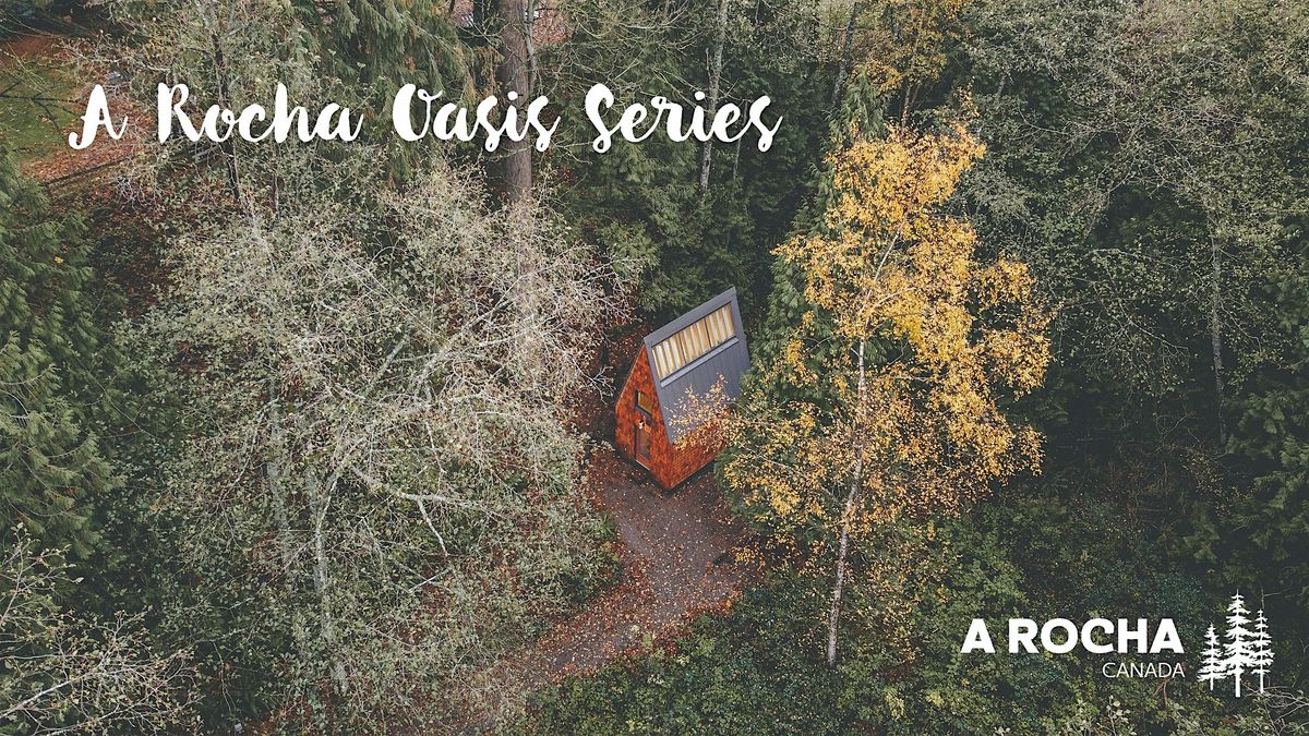 Oasis Series: Restoring the Heart of Vocation