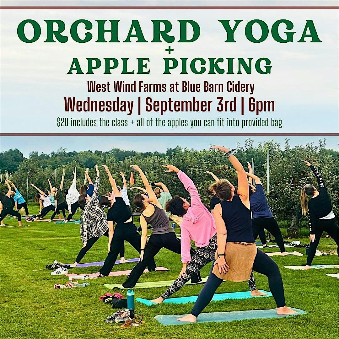 Orchard Yoga + Apple Picking