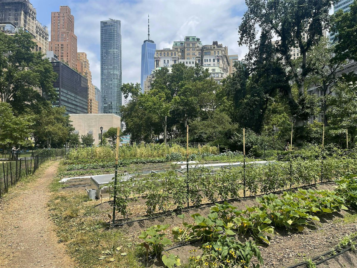 Farm Tours of Battery Urban Farm (Multiple Dates)