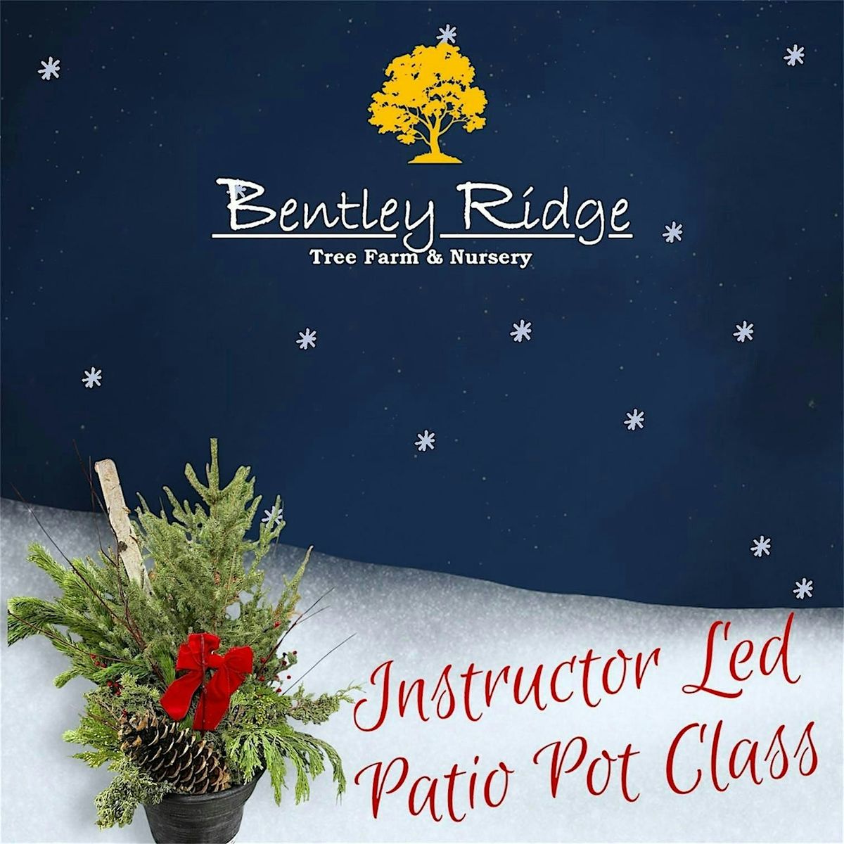 Instructor Led Christmas Patio Pot 3 - 2025