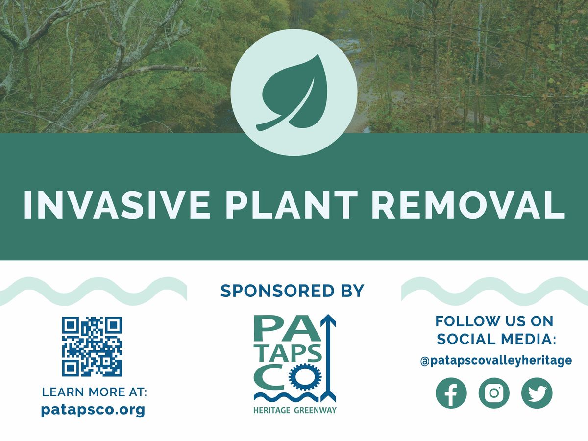 PHG & CRTT Invasive Removal Event: Short Line Trail-Shady Nook Ave