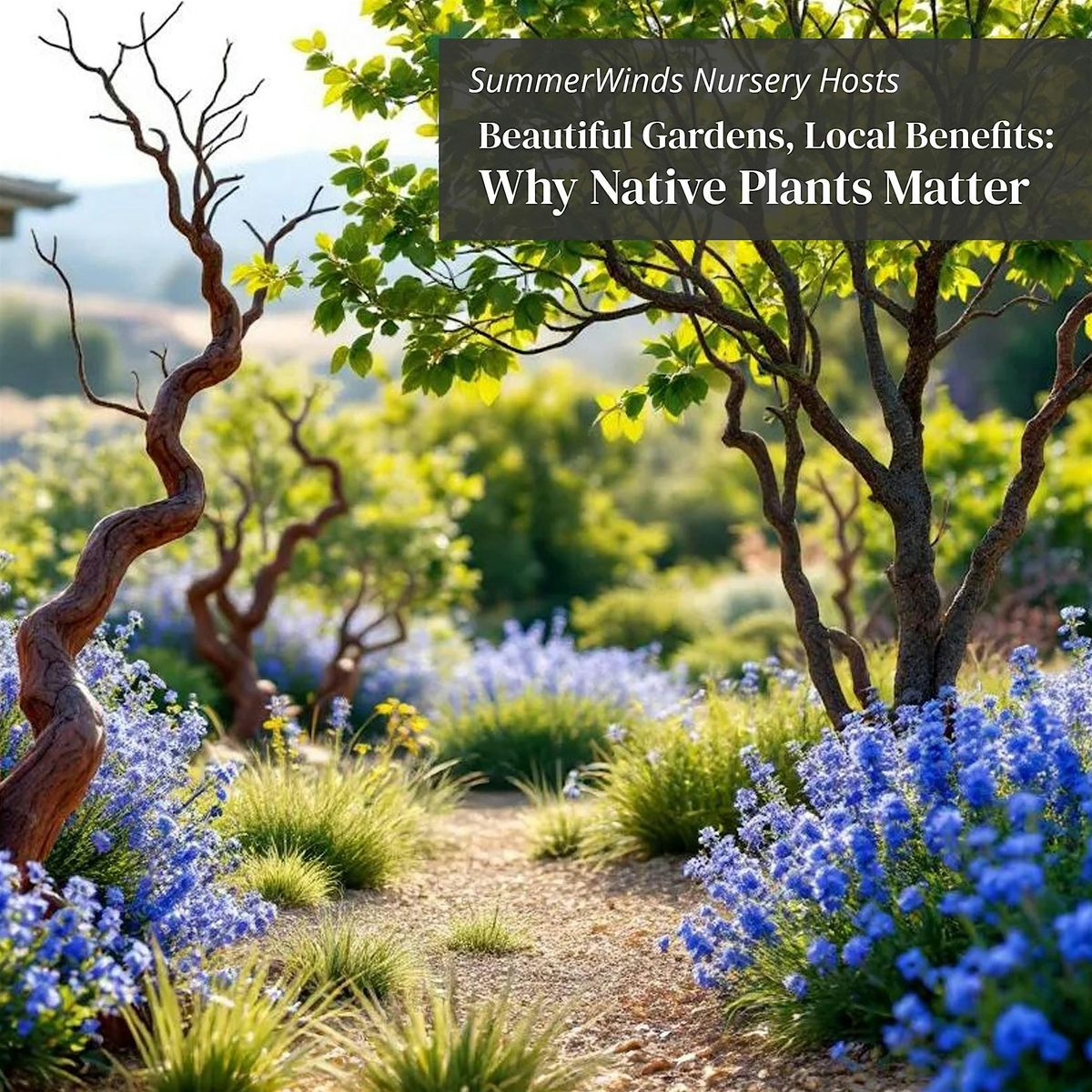 Why Native Plants Matter Beautiful Gardens, Local Benefits - Palo Alto
