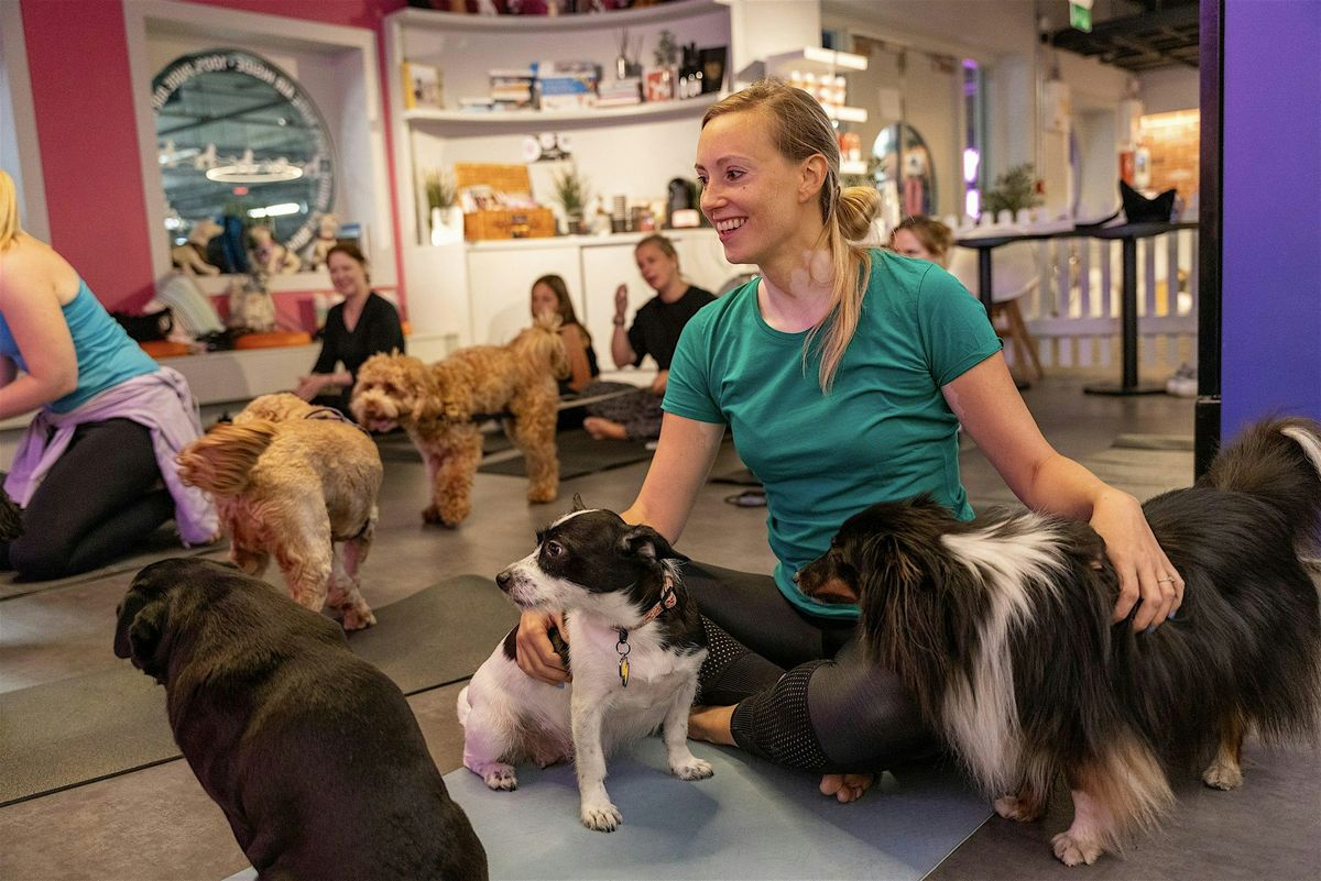 Yoga with Your Dog at Urban Mutts - November 2025