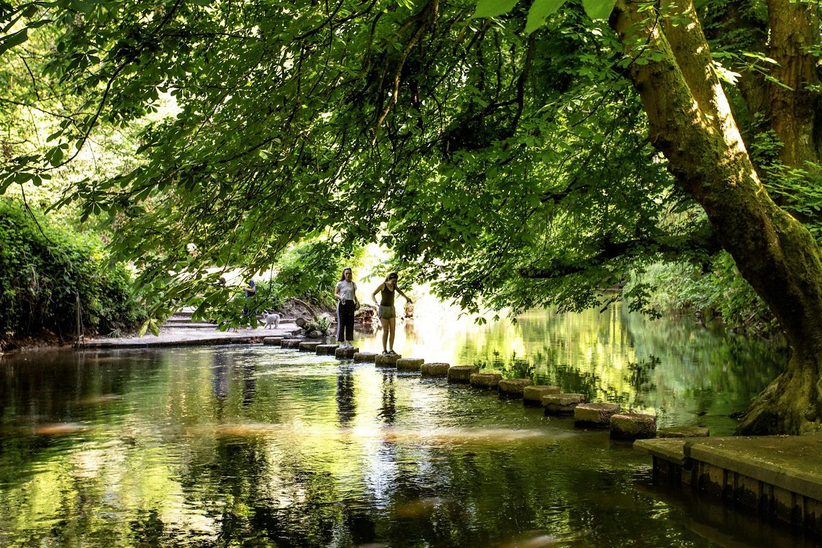 HIKE 17km Jane Austen's Box Hill, England's largest vineyard & North Downs