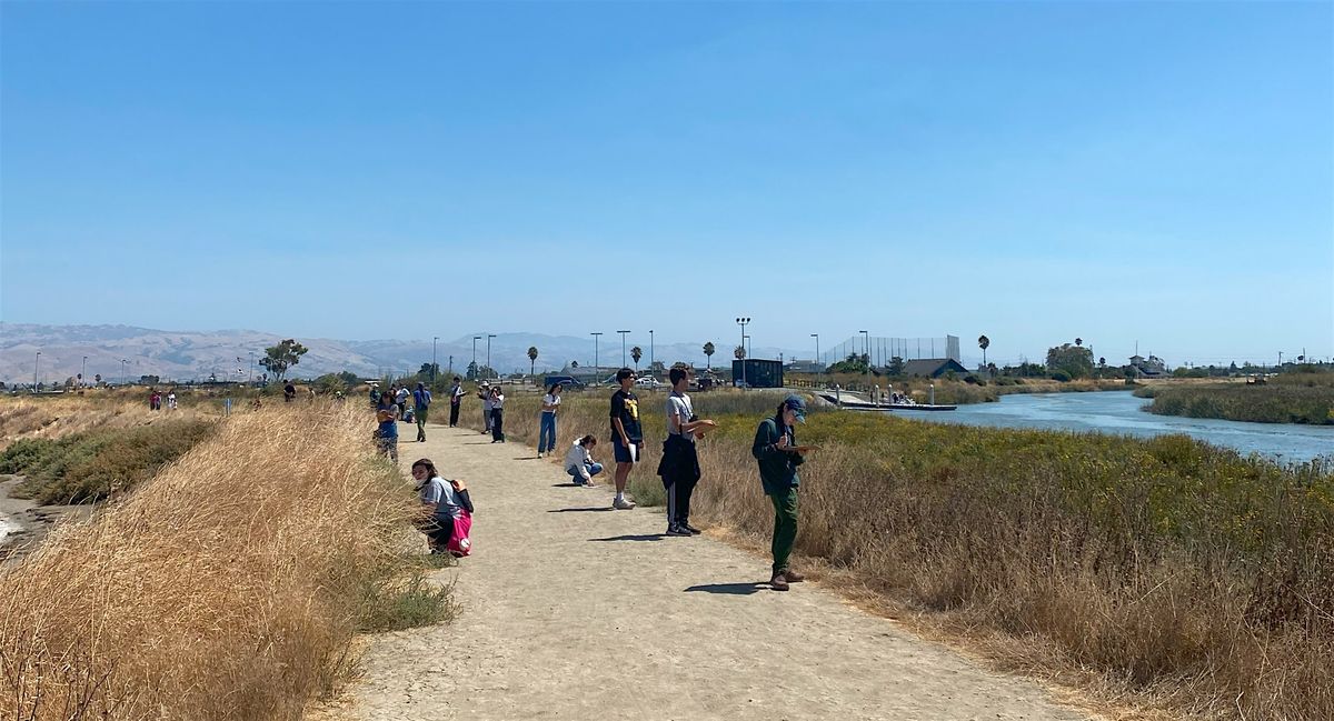 Stewardship Saturday: Uncovering the Wonders of Wetlands