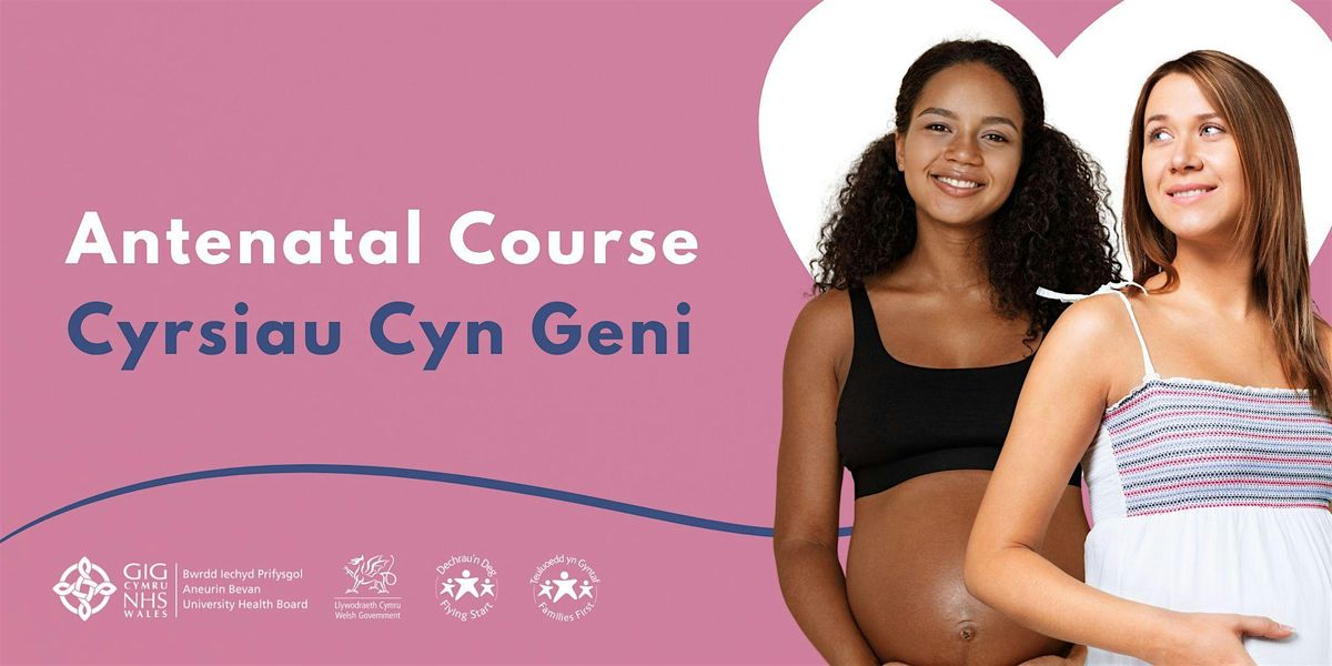 Monmouthshire Antenatal Course