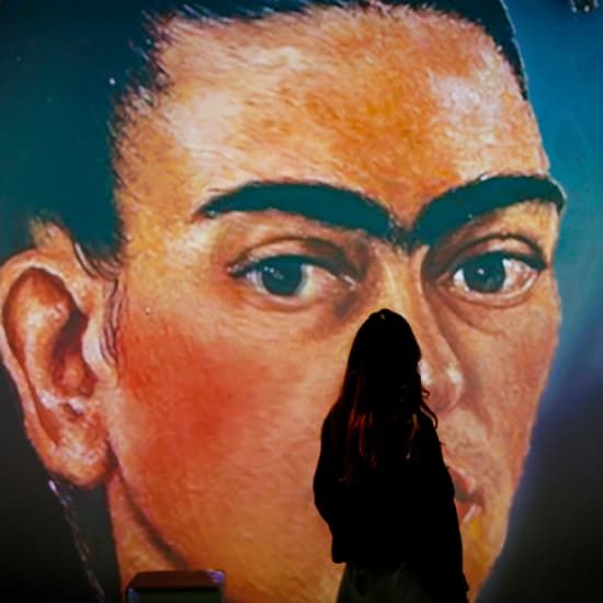 Viva Frida Kahlo - das immersive Erlebnis